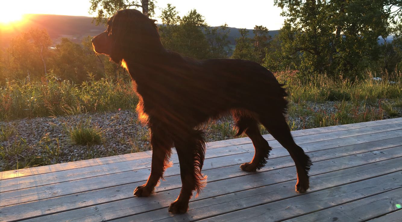 C1C72F92-539A-42EA-BEC2-2890C728B013