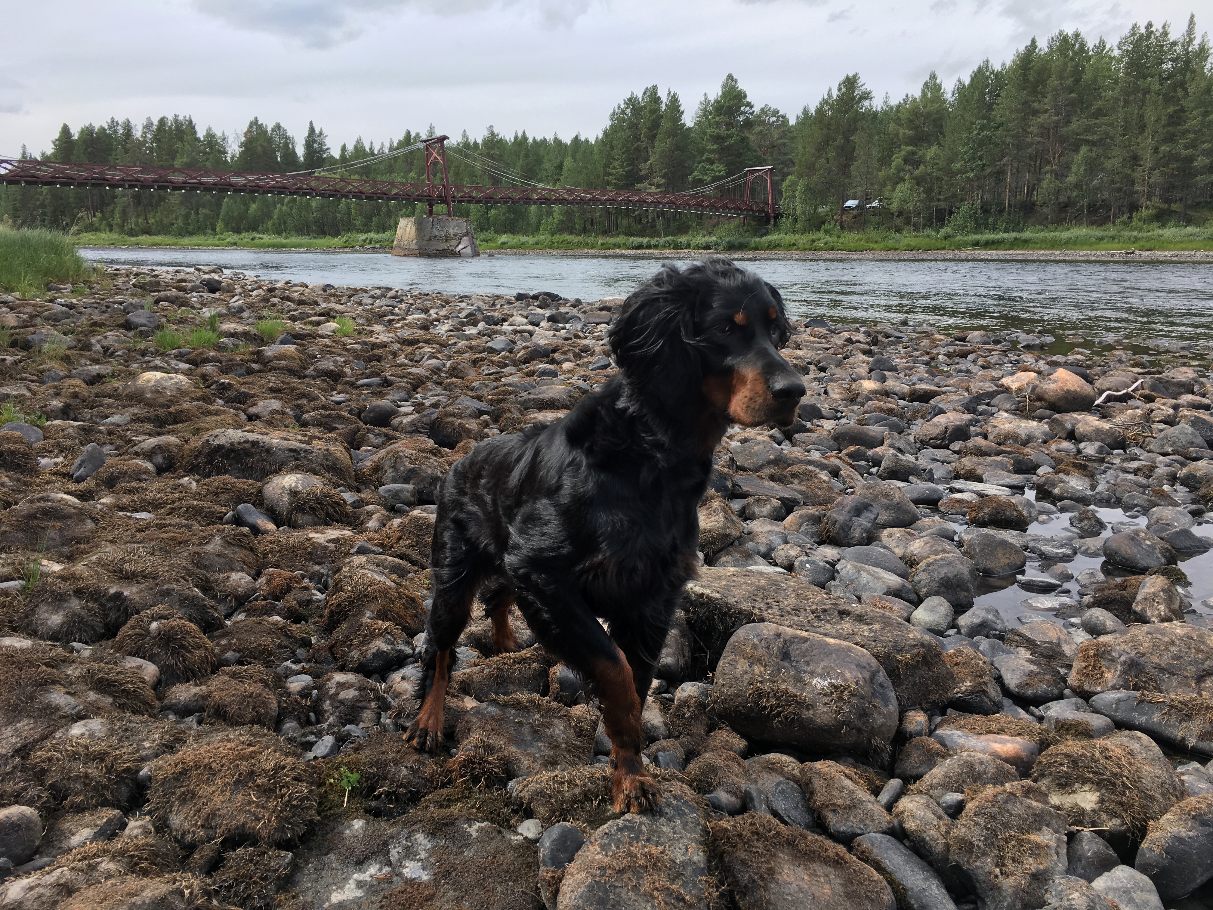 E2DEC3A7-1FC9-4CD5-A202-59751FFBC1B3